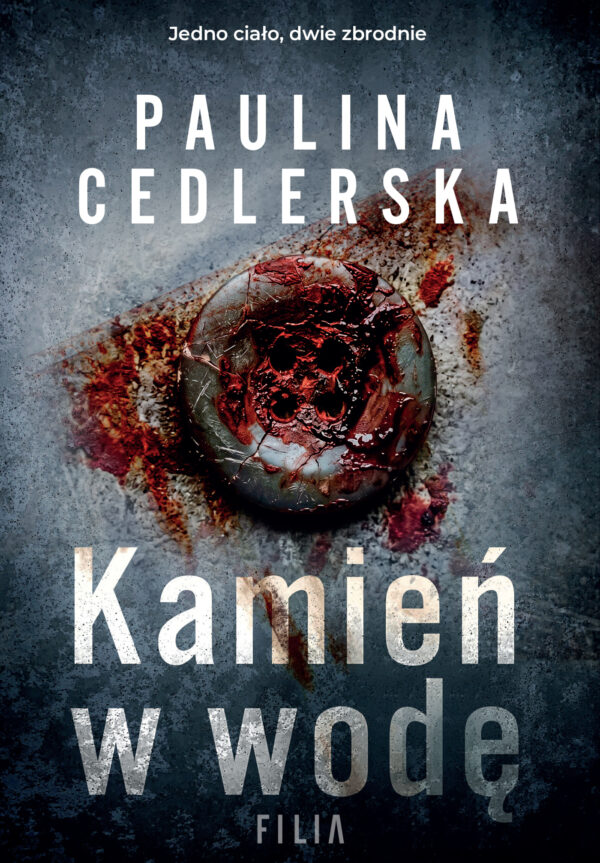 Kamień w wodę — okładka e-booka