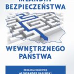Meandry bezpieczeństwa wewnętrznego państwa — okładka e-booka