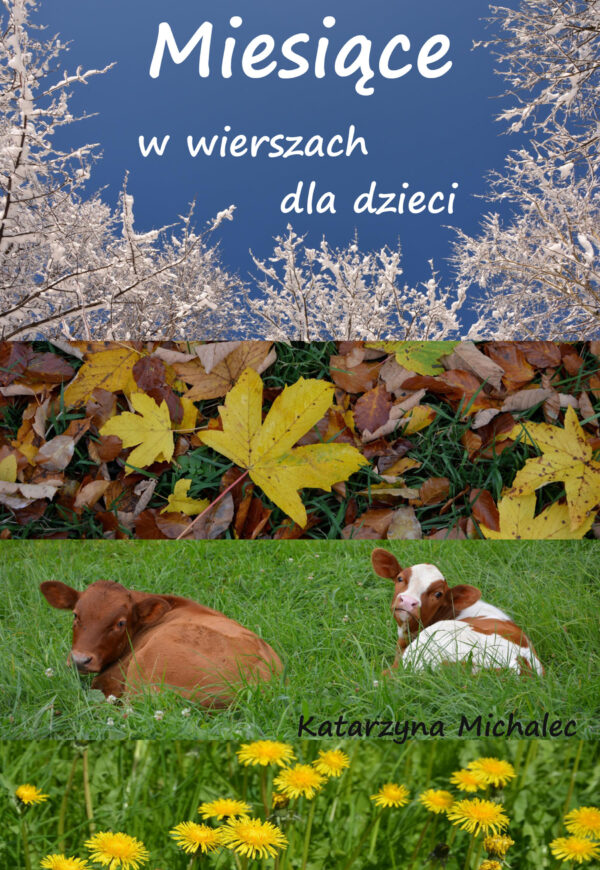 Miesiące w wierszach dla dzieci — okładka e-booka