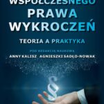Model współczesnego prawa wykroczeń. Teoria a praktyka — okładka e-booka