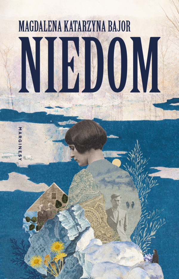 Niedom — okładka e-booka