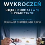 Prawo wykroczeń. Ujęcie normatywne i praktyczne — okładka e-booka