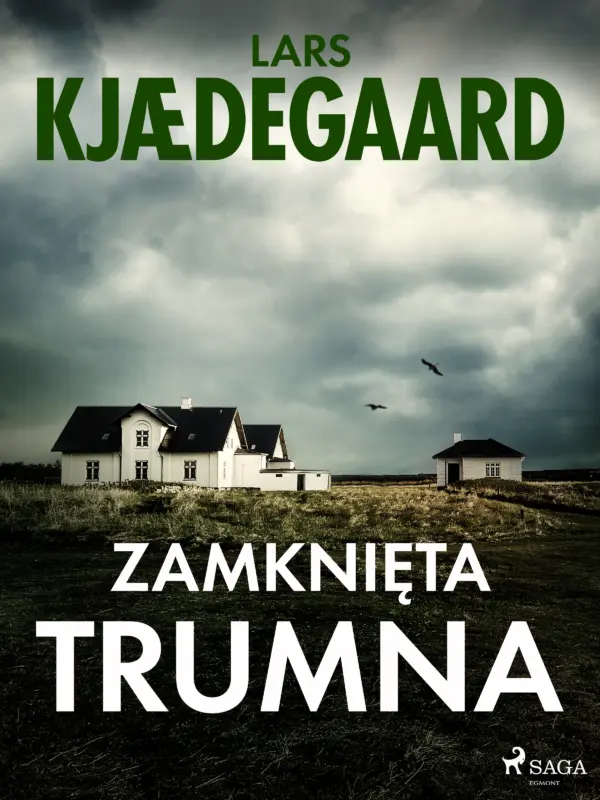 Zamknięta trumna — okładka e-booka