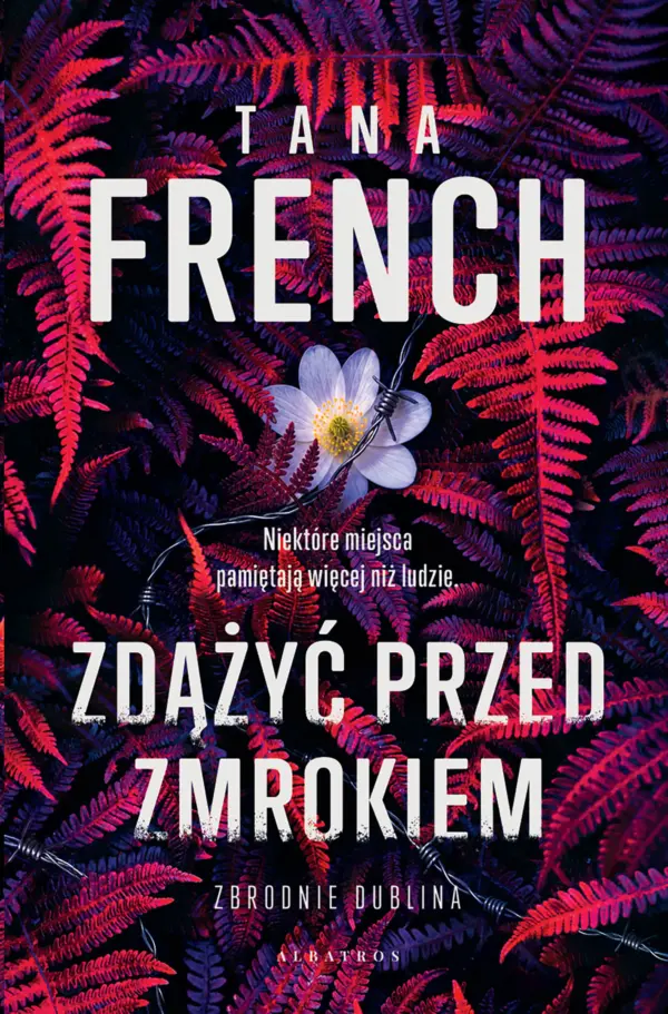 Zdążyć przed zmrokiem — okładka e-booka