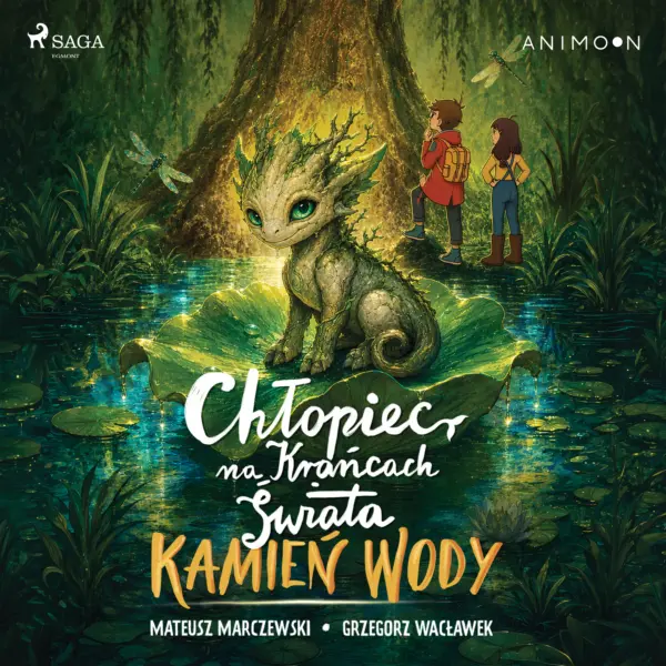 Chłopiec na krańcach świata. Kamień wody (#2) — okładka audiobooka