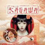 Cień kitsune (#1). Cień kitsune — okładka audiobooka