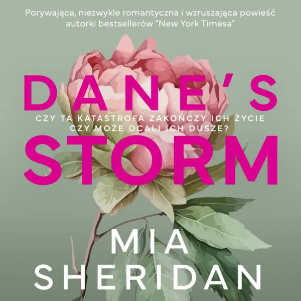 Dane's Storm — okładka audiobooka