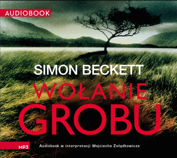 David Hunter (tom 4). Wołanie grobu — okładka audiobooka