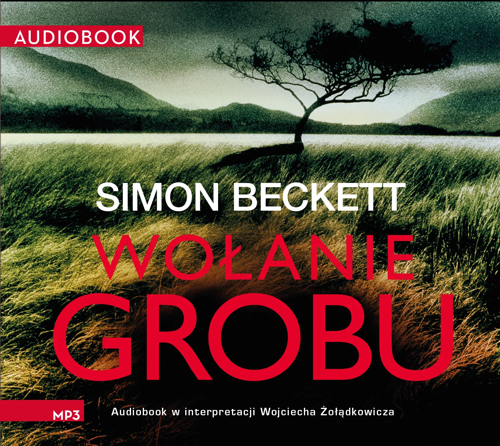 David Hunter (tom 4). Wołanie grobu — okładka audiobooka