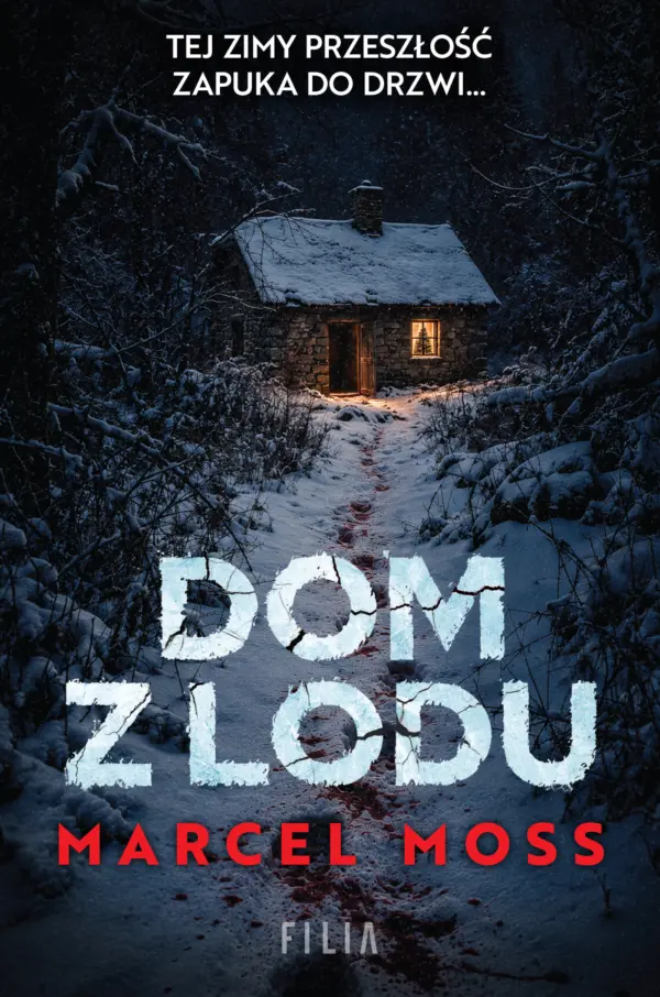 Dom z lodu — okładka e-booka