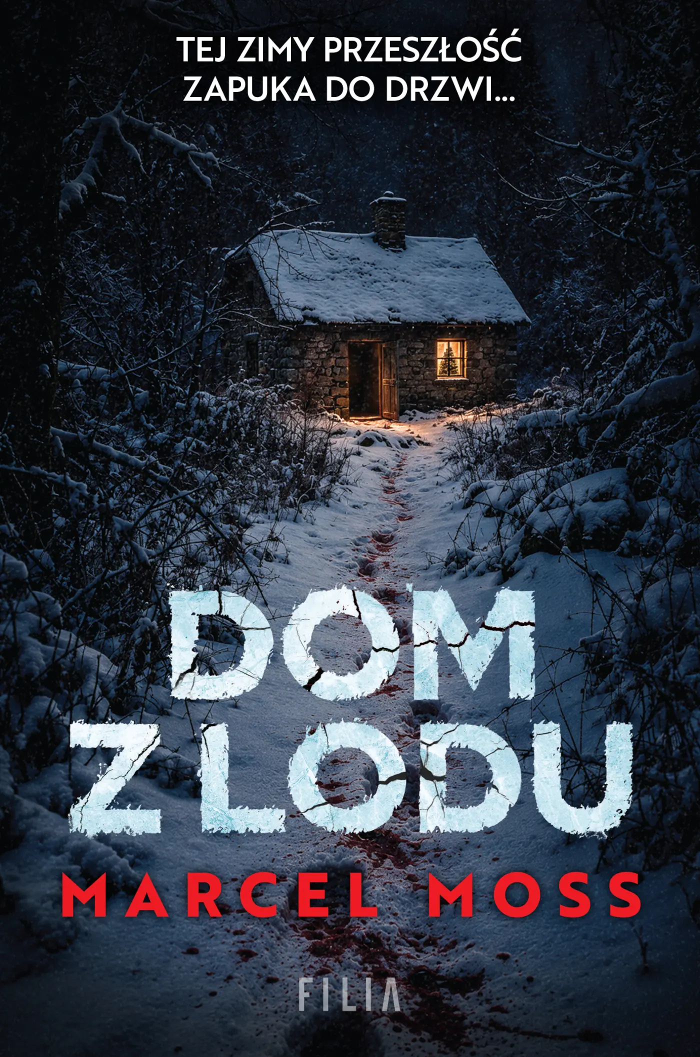 Dom z lodu — okładka e-booka