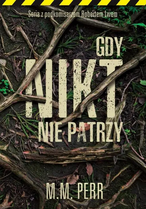 Gdy nikt nie patrzy — okładka e-booka