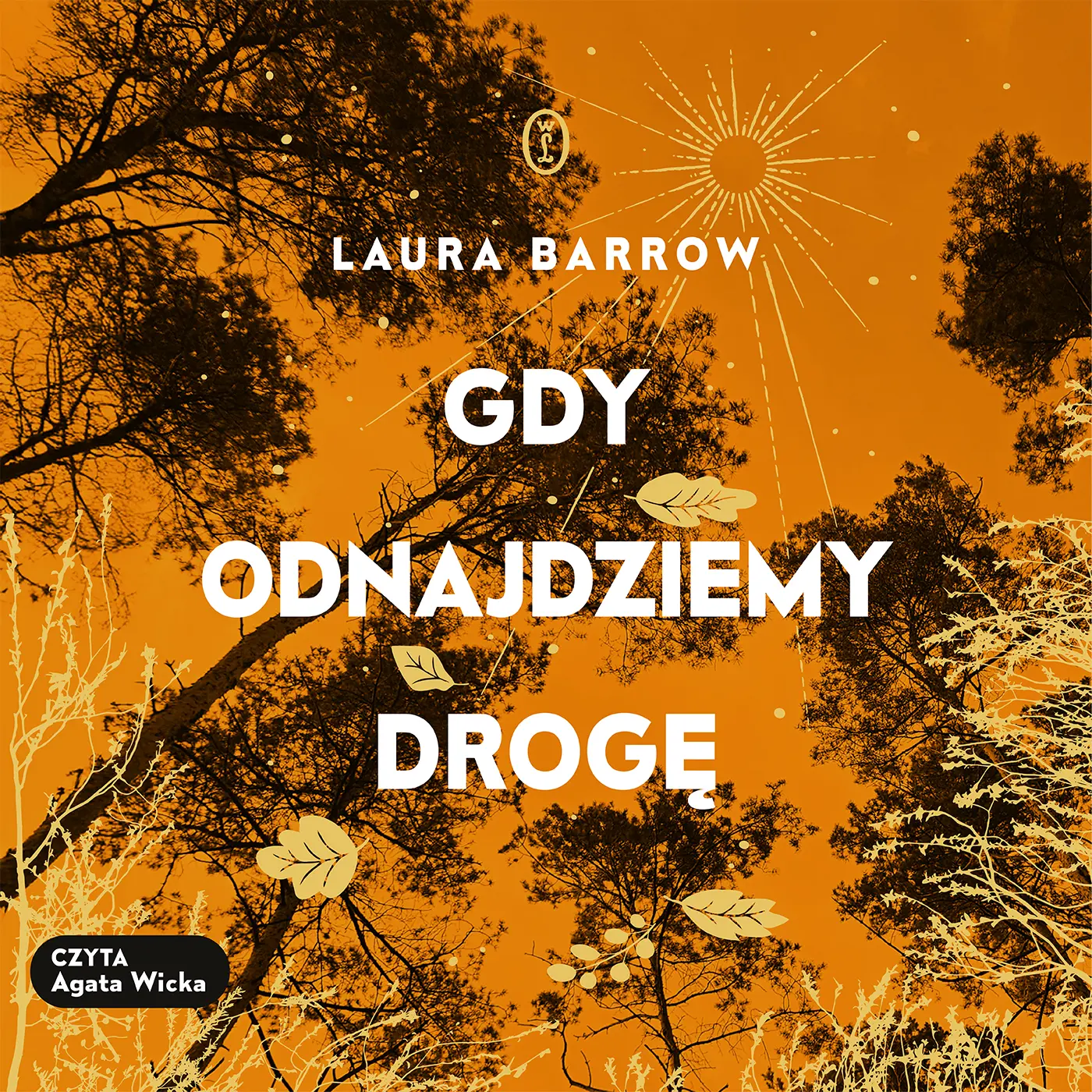Gdy odnajdziemy drogę — okładka audiobooka