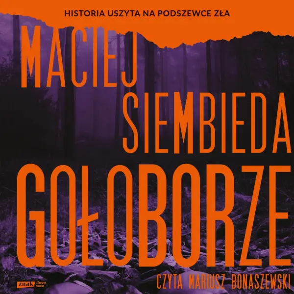 Gołoborze — okładka audiobooka