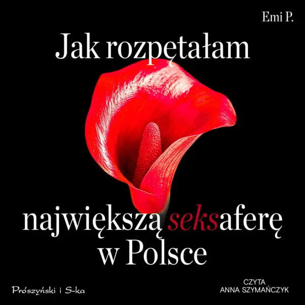 Jak rozpętałam największą seksaferę w Polsce — okładka audiobooka
