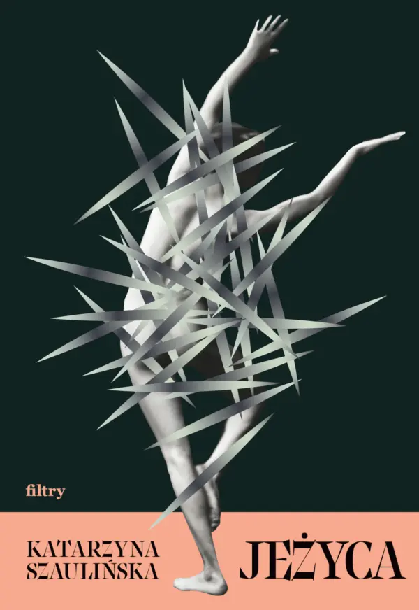 Jeżyca — okładka e-booka