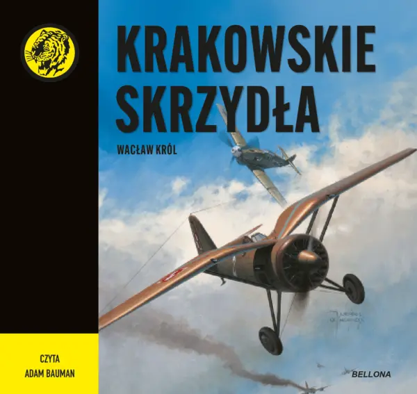 Krakowskie skrzydła — okładka audiobooka