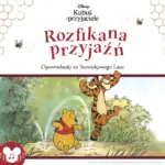 Kubuś i przyjaciele. Rozfikana przyjaźń — okładka audiobooka