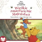 Kubuś i przyjaciele. Wielkie zmartwienie Maleństwa — okładka audiobooka