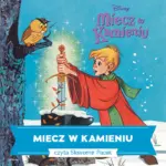 Miecz w kamieniu — okładka audiobooka