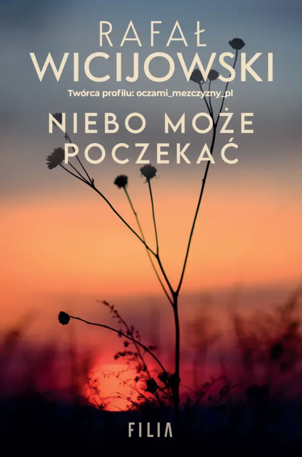 Niebo może poczekać — okładka e-booka