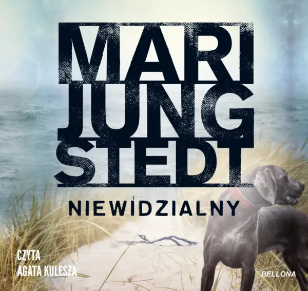 Niewidzialny — okładka audiobooka