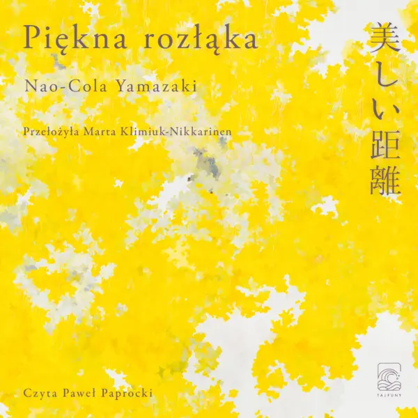 Piękna rozłąka — okładka audiobooka