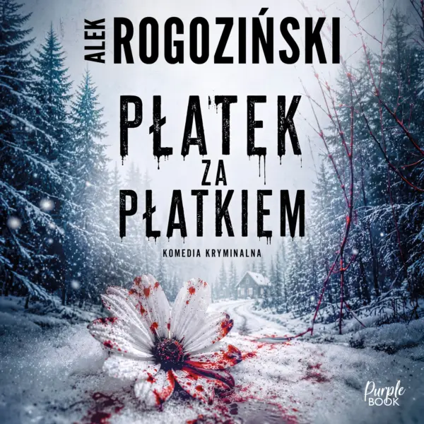 Płatek za płatkiem — okładka audiobooka