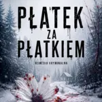 Płatek za płatkiem — okładka e-booka