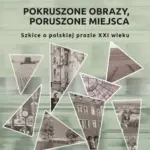 Pokruszone obrazy, poruszone miejsca. Szkice o polskiej prozie XXI wieku — okładka e-booka