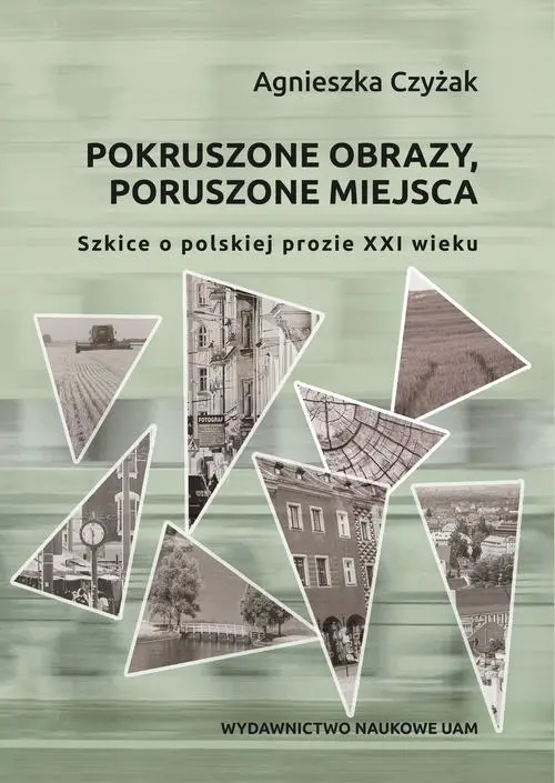 Pokruszone obrazy, poruszone miejsca. Szkice o polskiej prozie XXI wieku — okładka e-booka