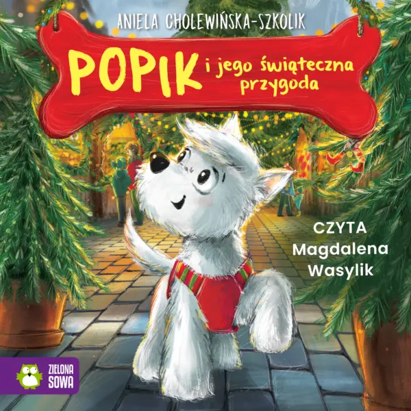 Popik i jego wielkie przygody. Popik i jego świąteczna przygoda — okładka audiobooka