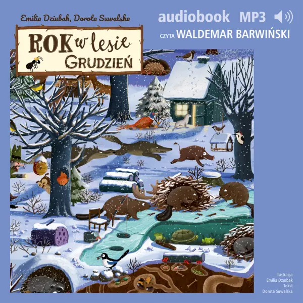 Rok w lesie. Grudzień — okładka audiobooka