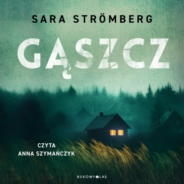 Śledztwa Very Bergström. Gąszcz. Śledztwa Very Bergström — okładka audiobooka
