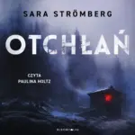 Śledztwa Very Bergström. Otchłań. Śledztwa Very Bergström — okładka audiobooka