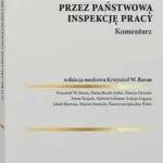 Stwierdzanie istnienia stosunku pracy przez Państwową Inspekcję Pracy. Komentarz — okładka e-booka