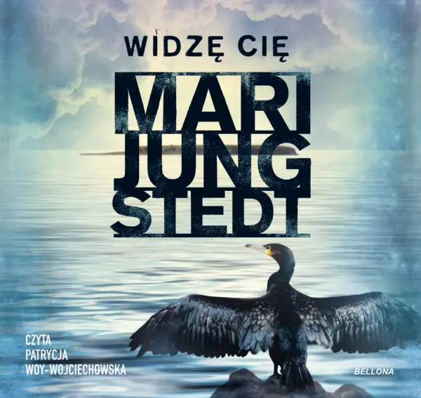Widzę cię — okładka audiobooka