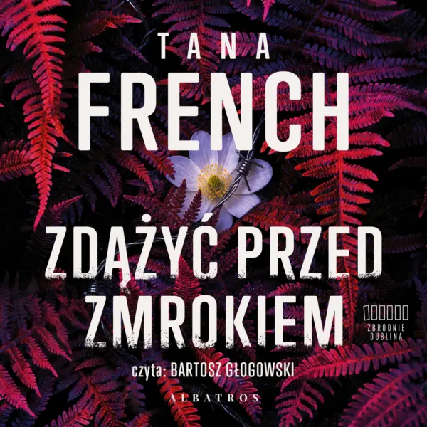 Zdążyć przed zmrokiem — okładka audiobooka