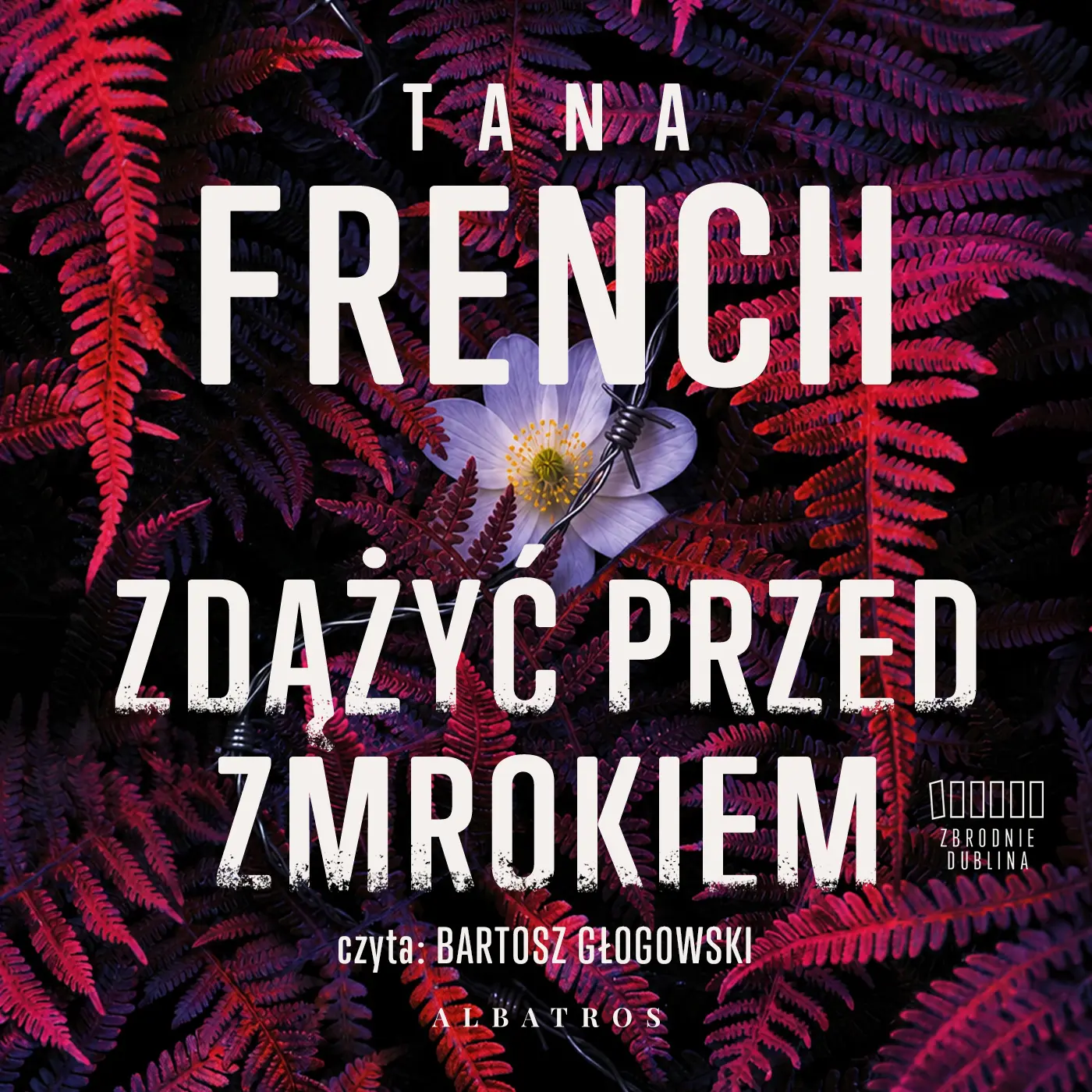 Zdążyć przed zmrokiem — okładka audiobooka